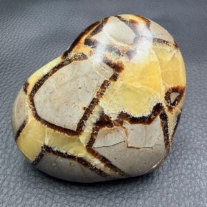 Coeur en Septaria