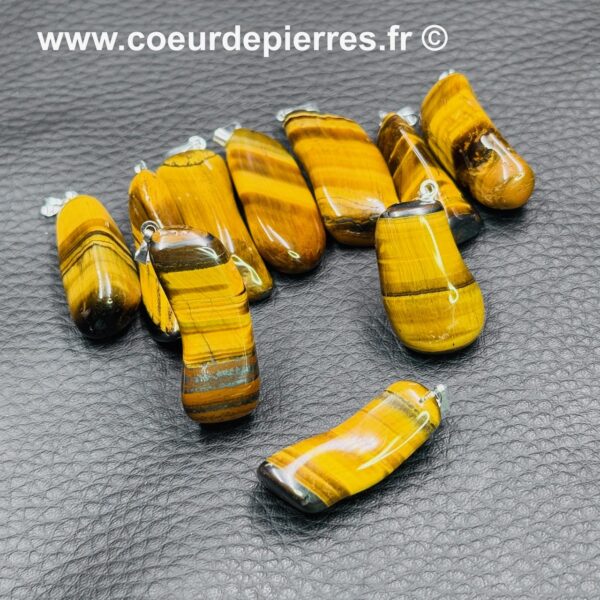 Pendentif en Oeil de Tigre (Grande Pierre Roulée) – Image 3