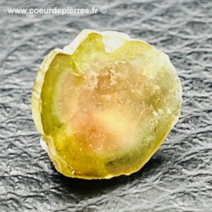 Tourmaline melon d’eau d’Afghanistan “tranche de prisme” (réf ptm10)