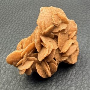 Rose des Sables