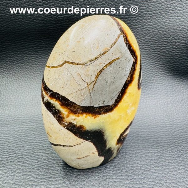 Septaria Jaune de Madagascar (réf ss10) – Image 2