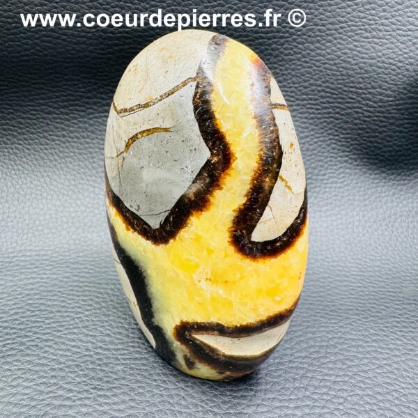 Septaria Jaune de Madagascar (réf ss10) – Image 3