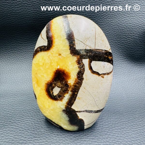 Septaria Jaune de Madagascar (réf ss10) – Image 4