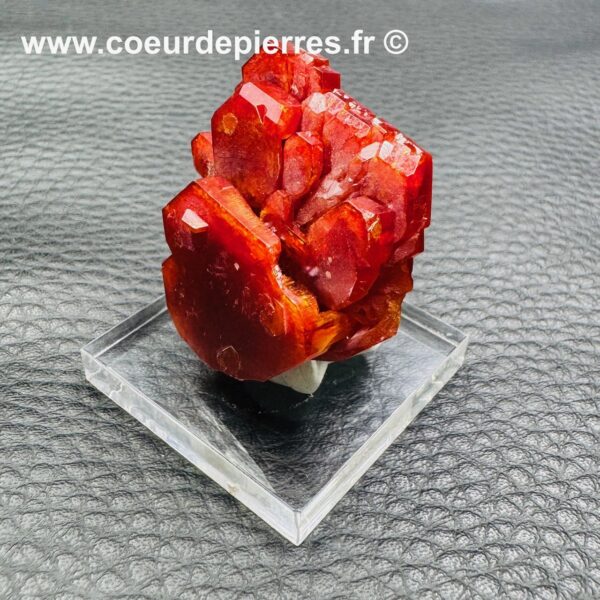 Fleur de Vanadinite du Maroc (réf va25) – Image 3