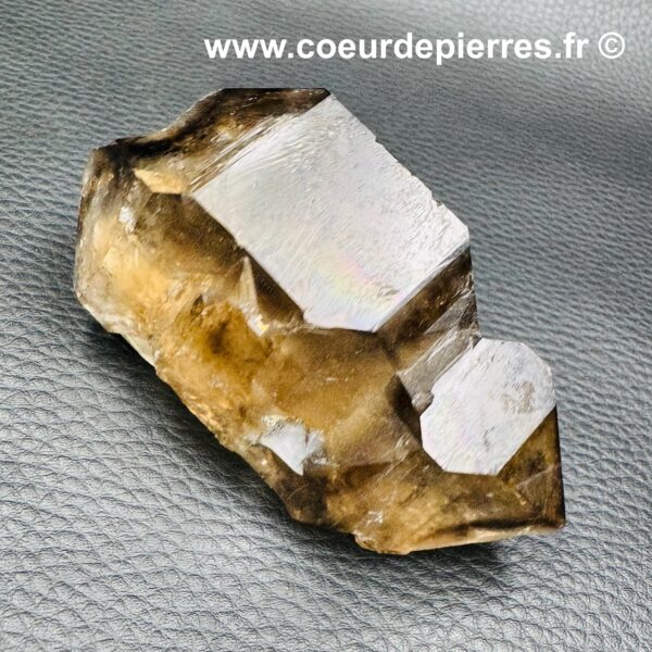 Quartz fumé jacaré