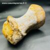 Ossement Fossile de Spinosaure du Maroc (réf vts3) – Image 3