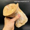 Ossement Fossile de Spinosaure du Maroc (réf vts3) – Image 6