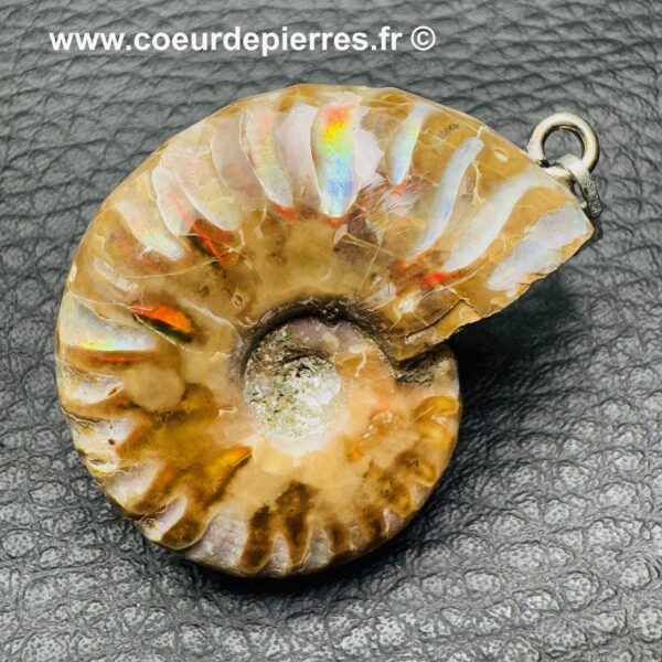 Pendentif Ammonite