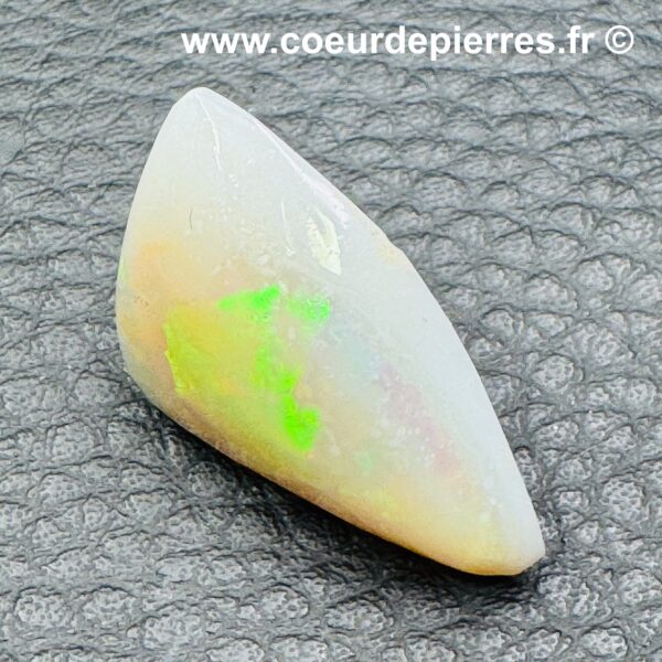 Opale de Lightning Ridge "Coquillage" (réf olr2) – Image 2