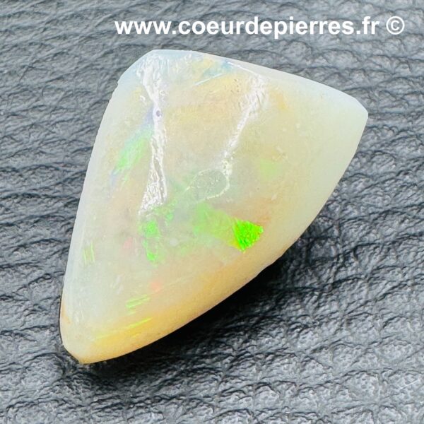 Opale de Lightning Ridge "Coquillage" (réf olr2) – Image 3