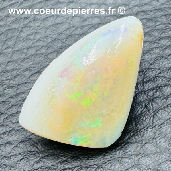 Opale de Lightning Ridge "Coquillage" (réf olr2) – Image 4