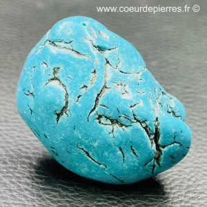 Turquoise naturelle du Tibet de 41 gr (réf tur3)