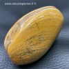 Mollusque bivalve fossile de Madagascar (ref pm2) – Image 4