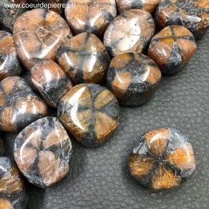 Chiastolite (ou Andalousite) d’Australie en pierres roulées “grande taille”