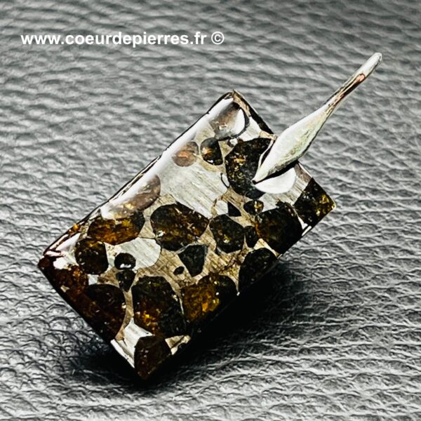 Pendentif météorite pallasite