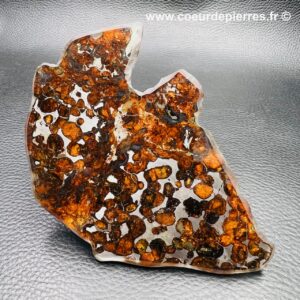 méteorite pallasite