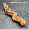 Coprolithe