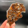 Météorite Pallasite "Sericho" du Kenya (réf mt13) – Image 6