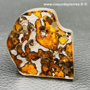 météorite pallasite