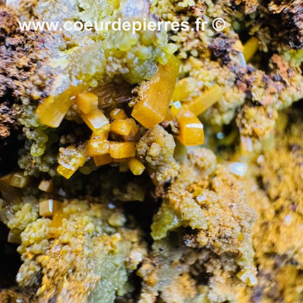 Wulfénite et Mimétite du Mexique (réf wu8) – Image 5
