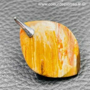 Pendentif en bois fossilisé de Madagascar (réf bf12)