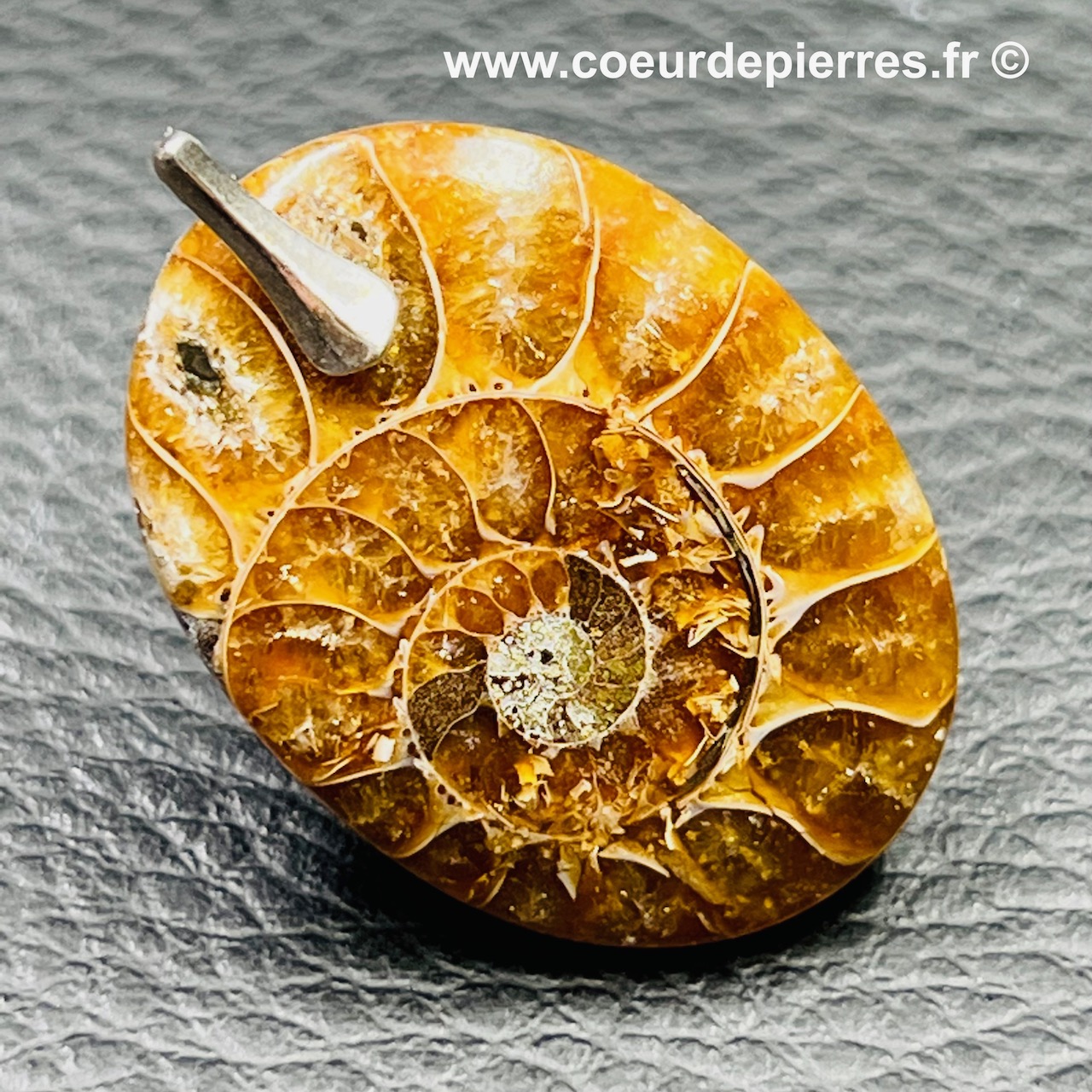 Pendentif ammonite du Maroc (réf pam8)