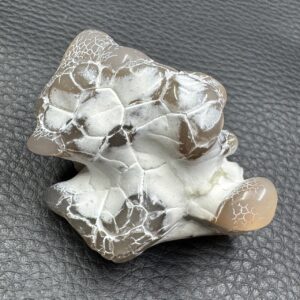 Agate Peau de Serpent
