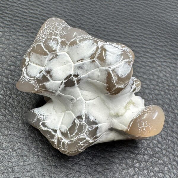 Agate Peau de Serpent