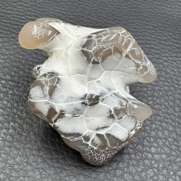 Agate Peau de Serpent d'Australie (réf aps1) – Image 4