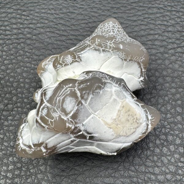 Agate Peau de Serpent d'Australie (réf aps1) – Image 2