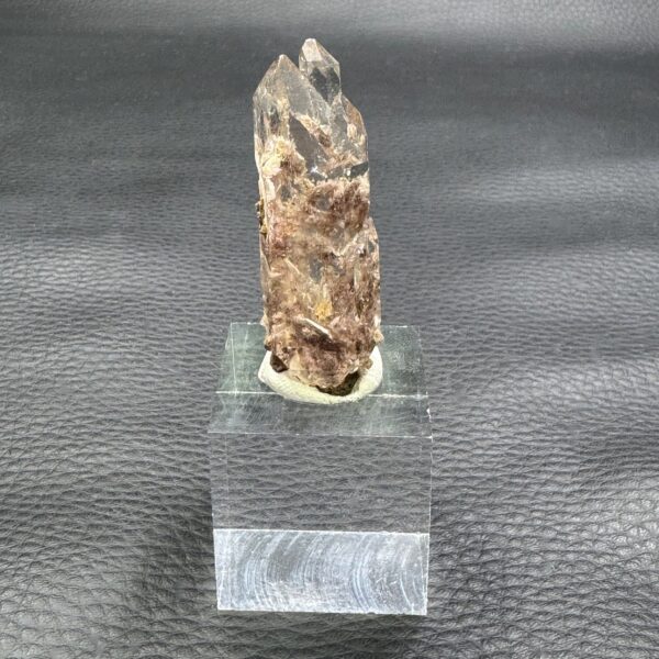 Cristal de Roche Lodolite