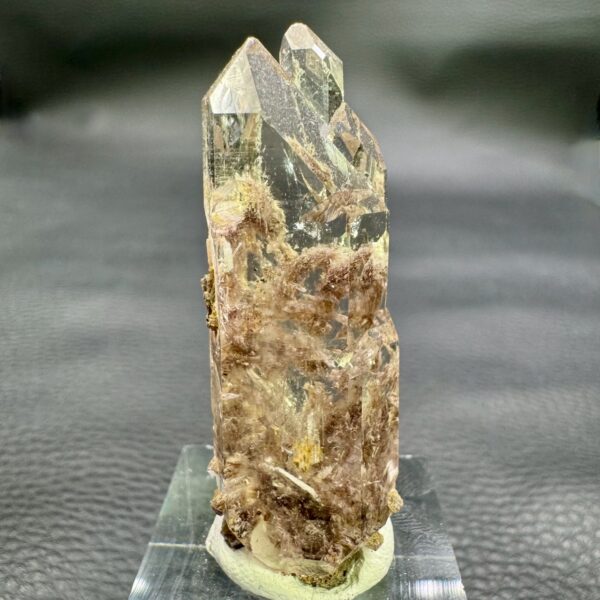 Cristal de Roche Lodolite