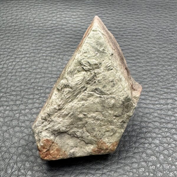 Fossile du Carbonifère "Tronc de Calamite" (réf fc16) – Image 2