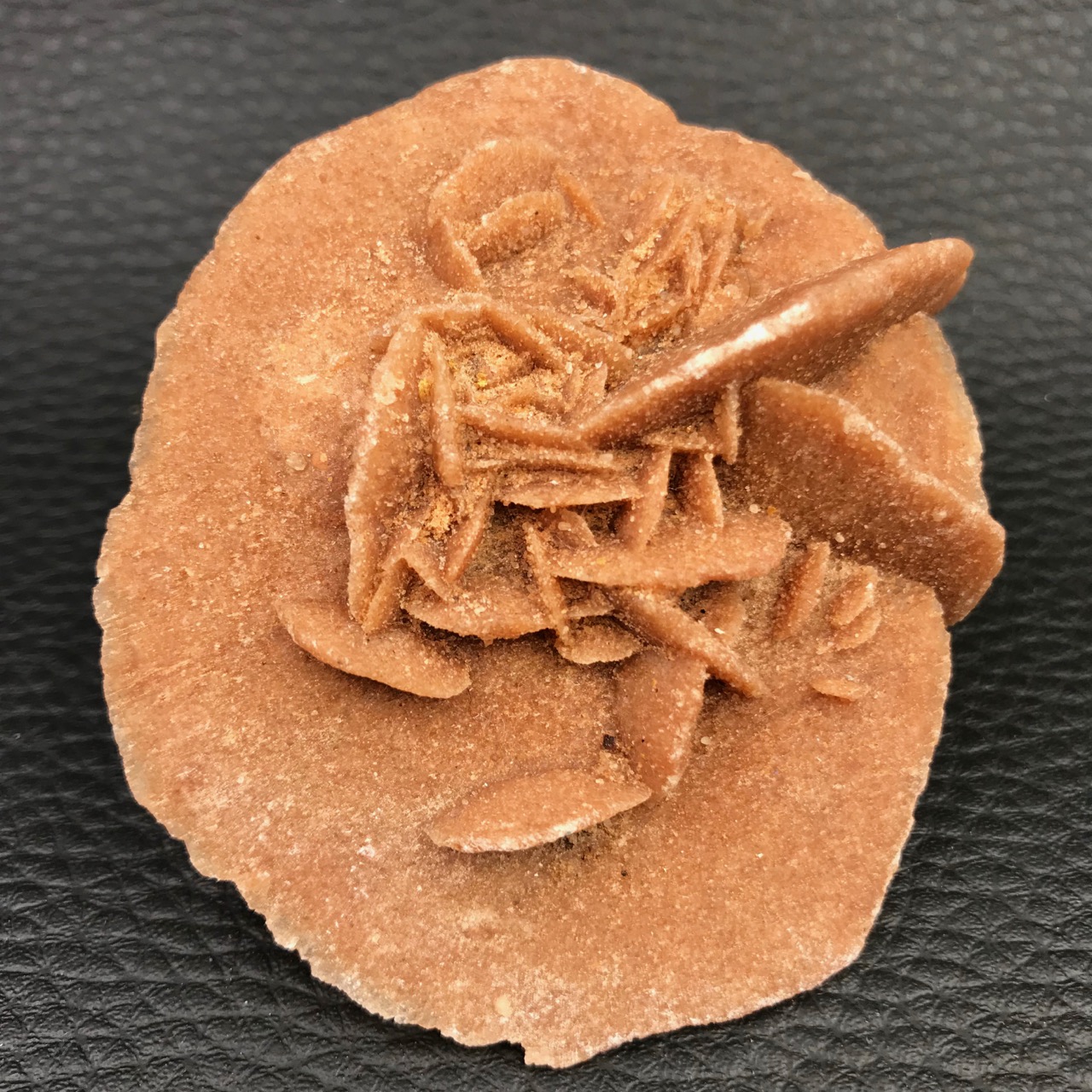 Rose des sables « gypse »