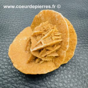 Rose des Sables