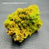 Pyromorphite de Guilin, Chine (réf pyr4) – Image 3