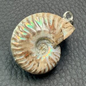 Pendentif Ammonite Irisée