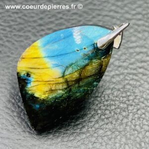 Pendentif labradorite terre et mer (réf ltm8)