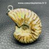 Pendentif en Ammonite (réf pam1) – Image 2