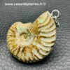 Pendentif en Ammonite (réf pam1) – Image 3