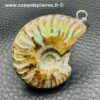 Pendentif en Ammonite