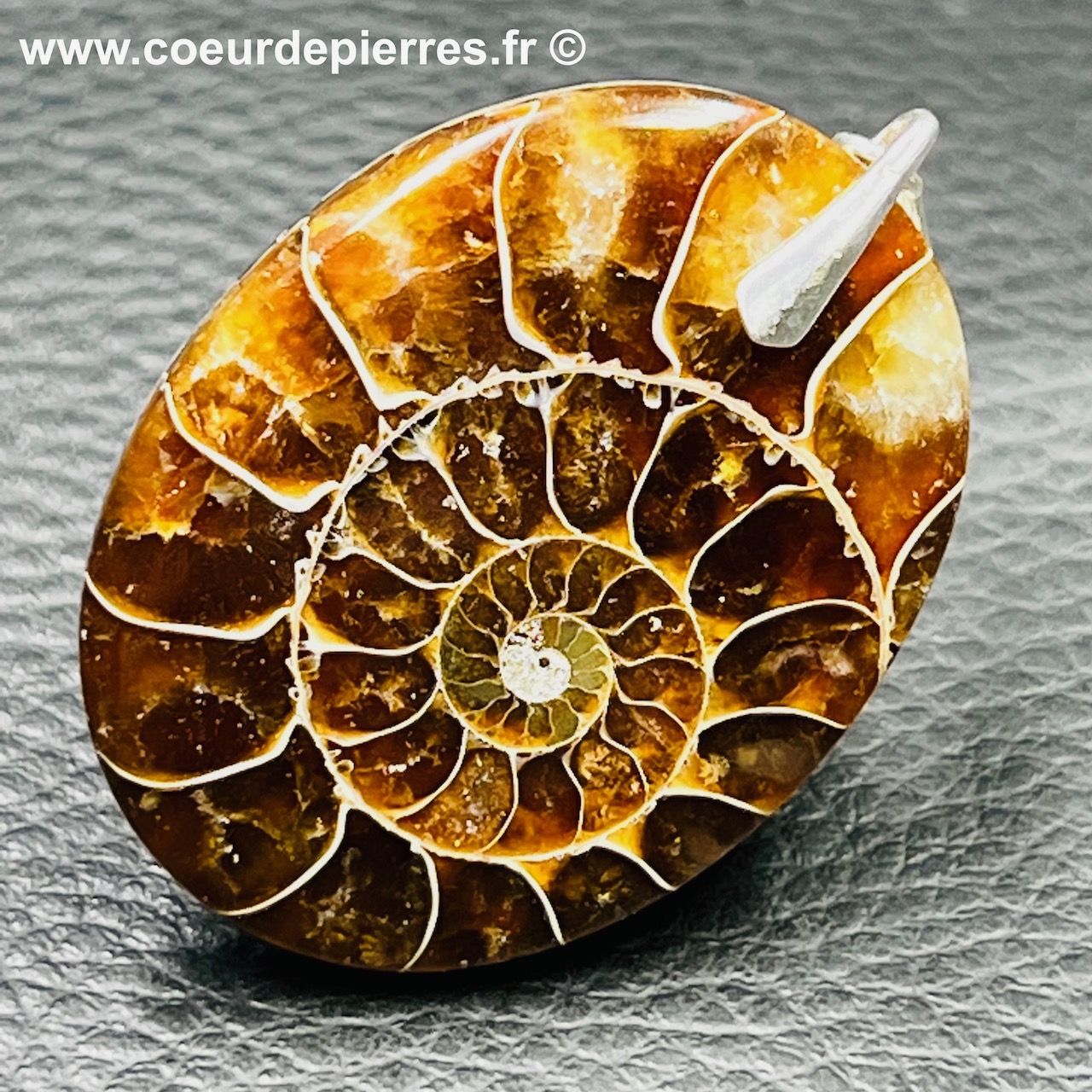 Pendentif ammonite de Madagascar (réf pam5)