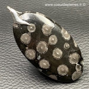 Pendentif en corail fossile de Malaisie « grand modèle » (réf pco4)