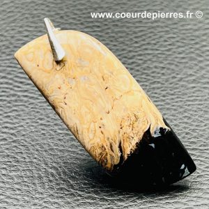 Pendentif en bois fossilisé “racine de palmier” de Malaisie (réf bf11)
