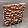 Scutelle Dermique Fossile de Crocodile Sarcosuchus