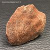 Scutelle Dermique de Dinosaure Rebbachisaurus