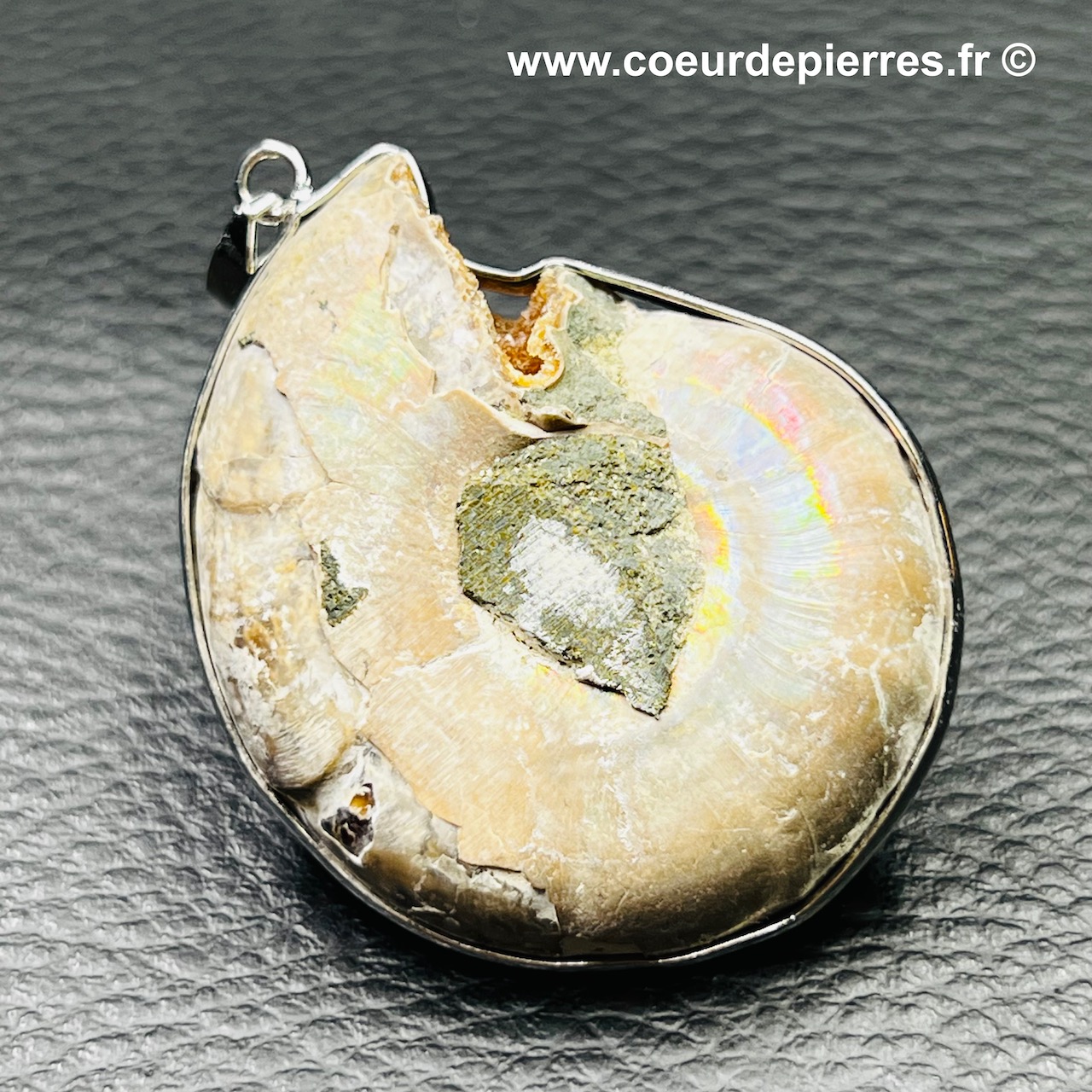Collier pendentif Fossile d'ammonite | Kaufen auf