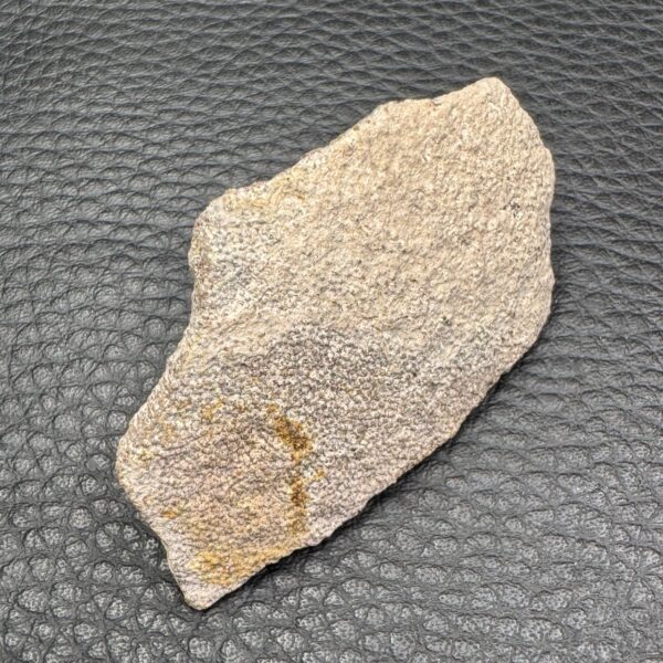 Coquillle d'Oeuf de Dinosaure "Saltasaurus" (réf cod4) – Image 3