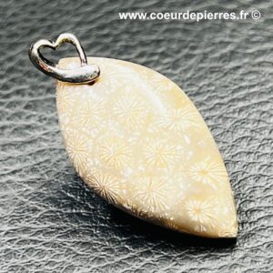 Pendentif corail fossile de Malaisie (réf pco9)