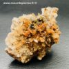 creedite